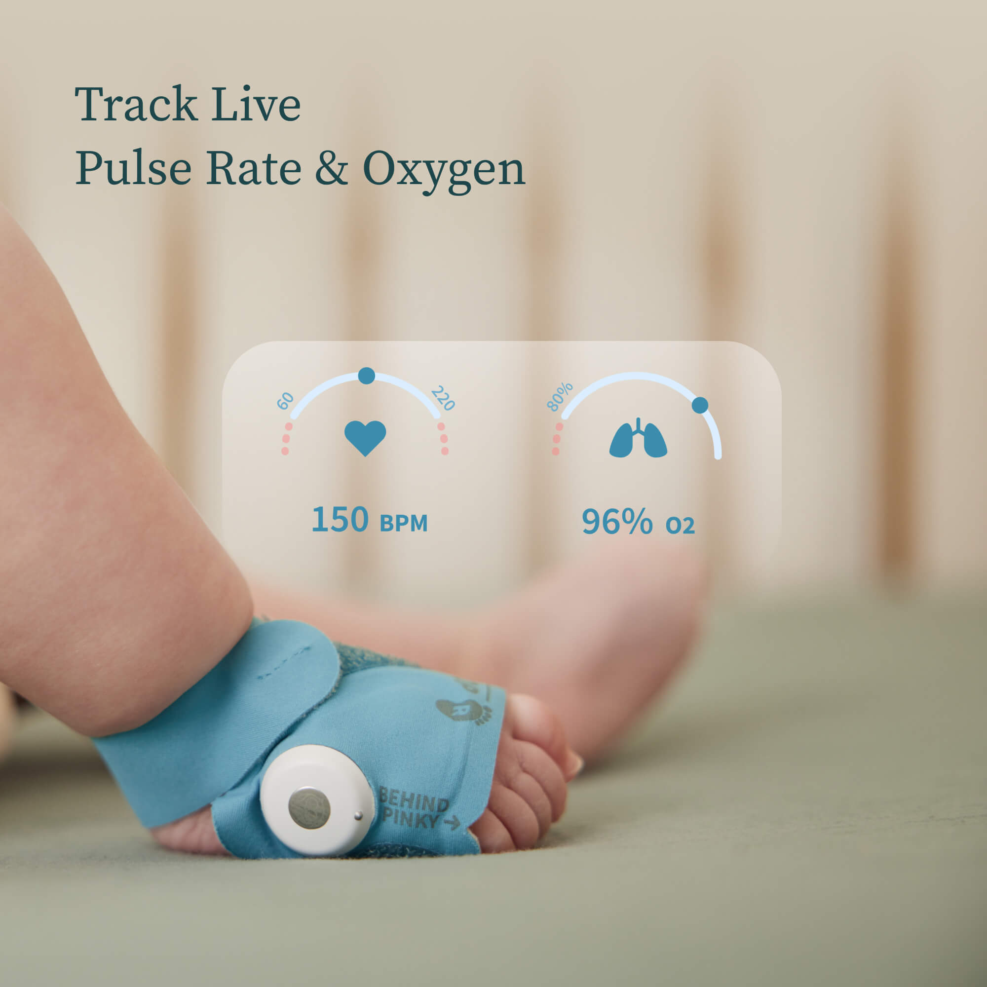 Owlet FDA-Cleared BabySat? Monitoring System - Image 3